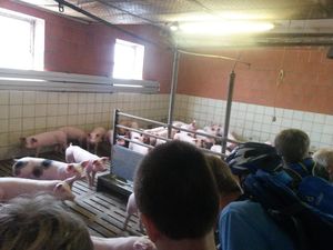 Ferienbetreuung Gerd-Holling.jpg